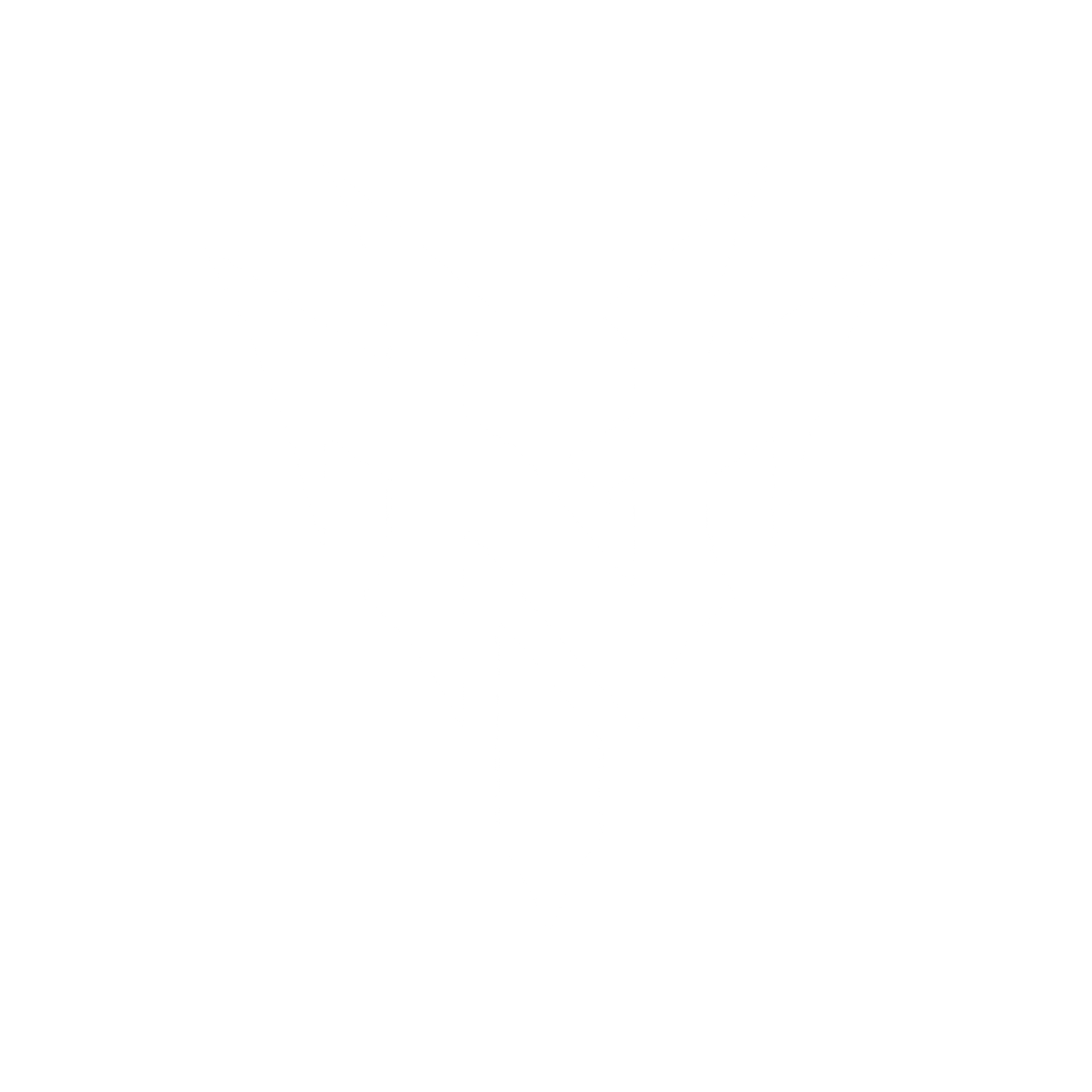 Noerz Assistant